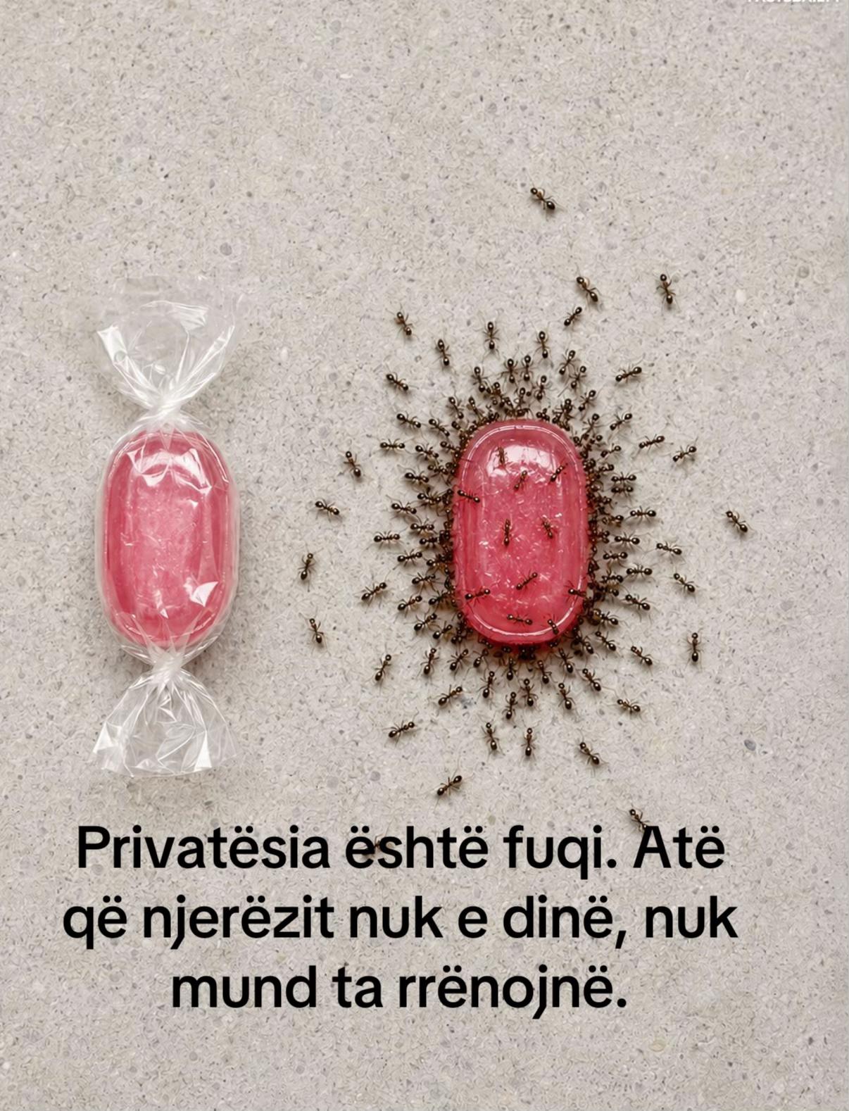 @🦋✨🇦🇱🇽🇰🇬🇧✨🦋
