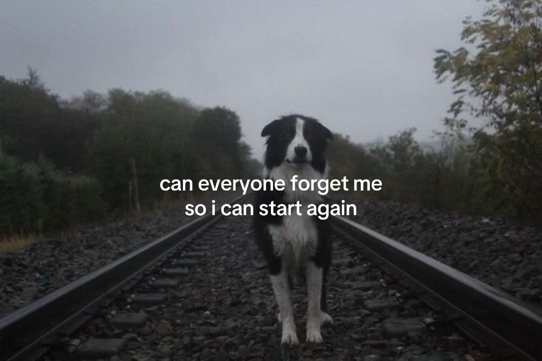 @Miau