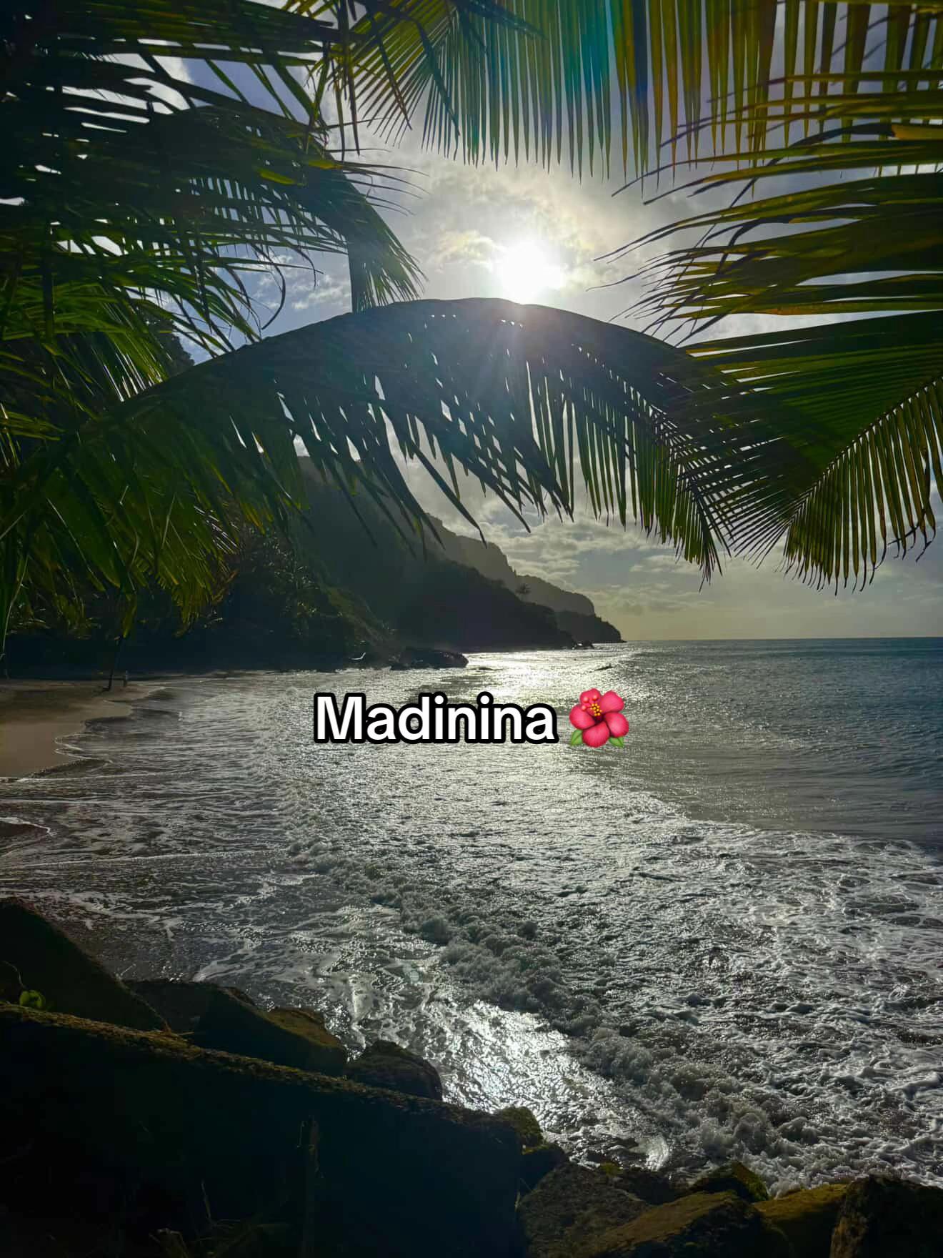 @Madin’Alger 🇲🇶✈️🇩🇿