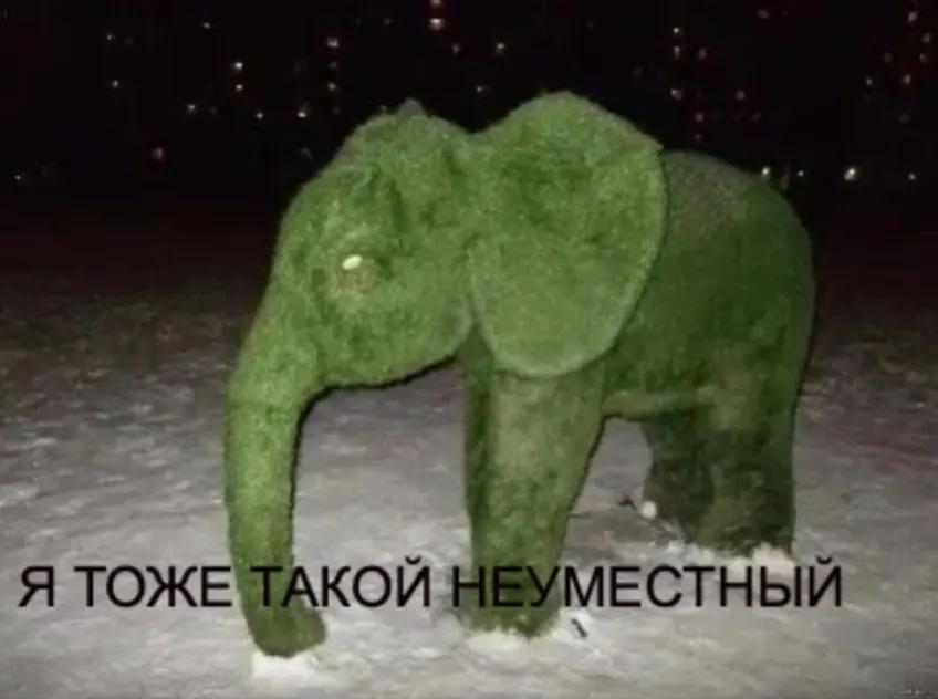@Misaki