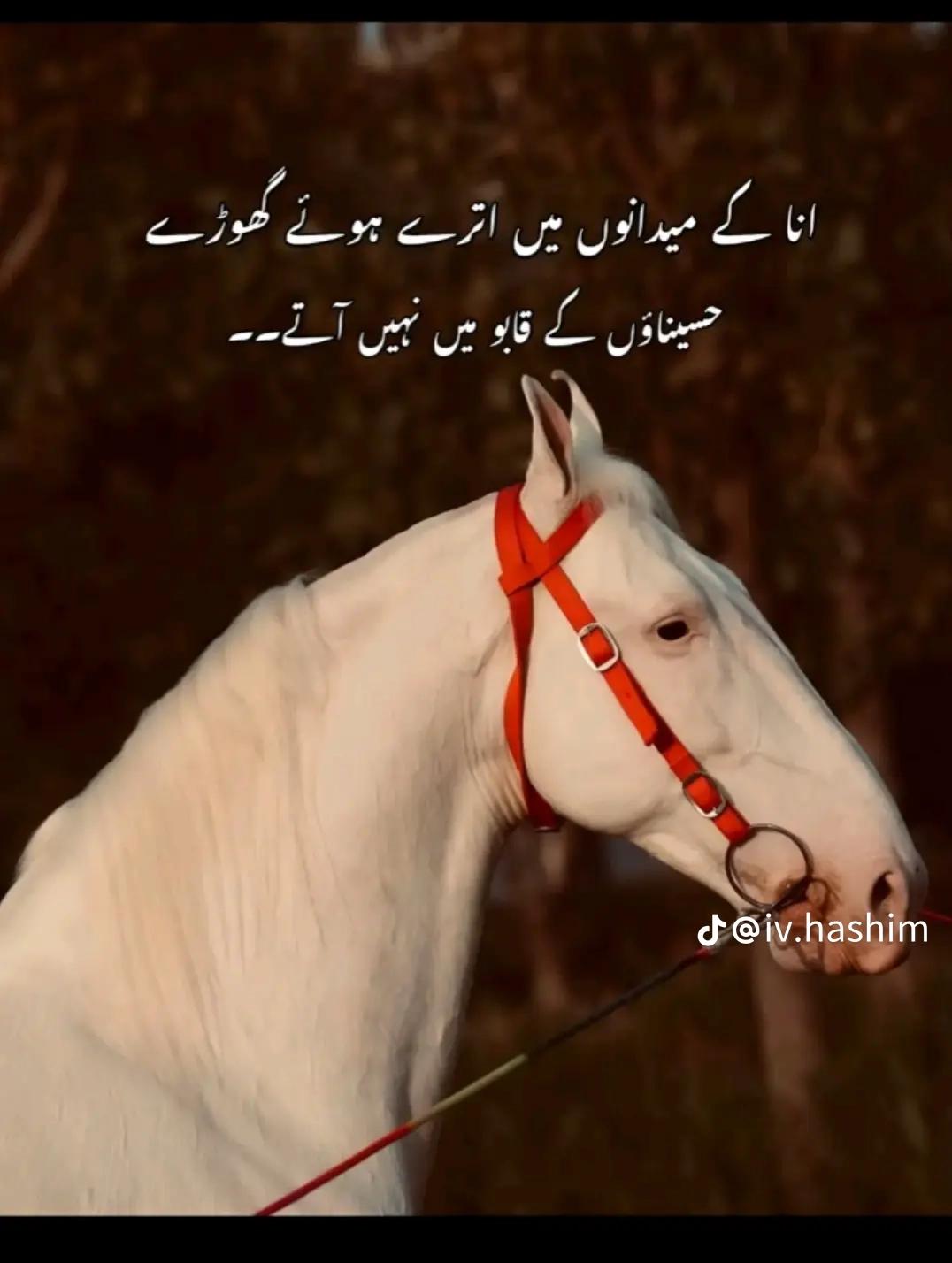 @زمان بادشاہ👑🚩