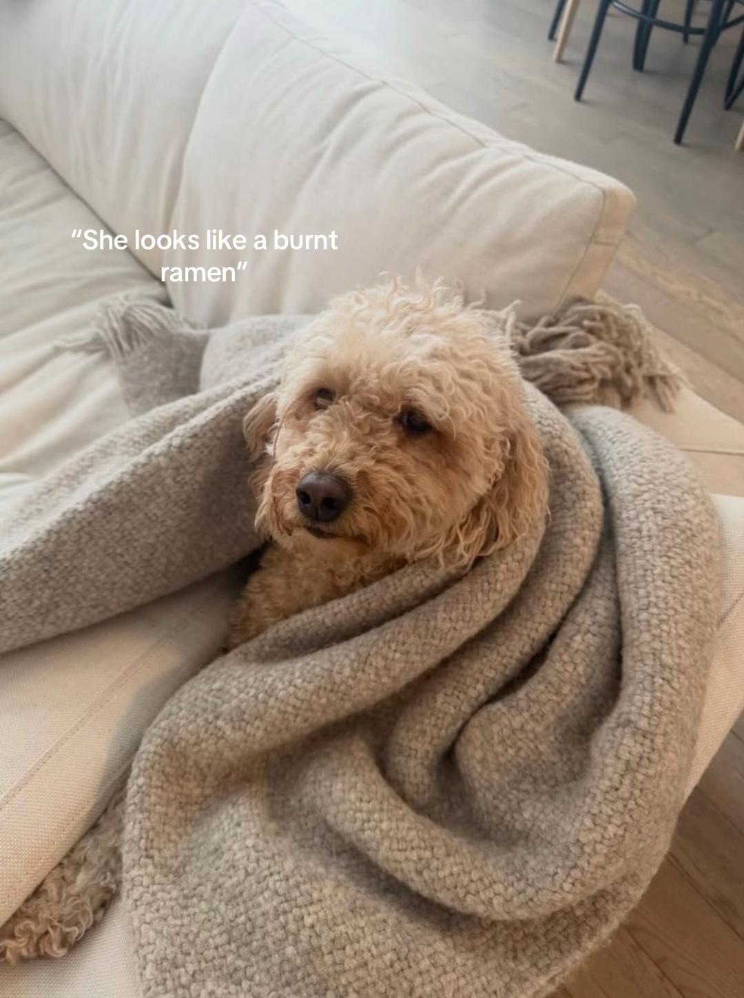 @ᯓ 𝐬𝐦𝐢𝐬𝐤𝐡𝐡˚꩜。