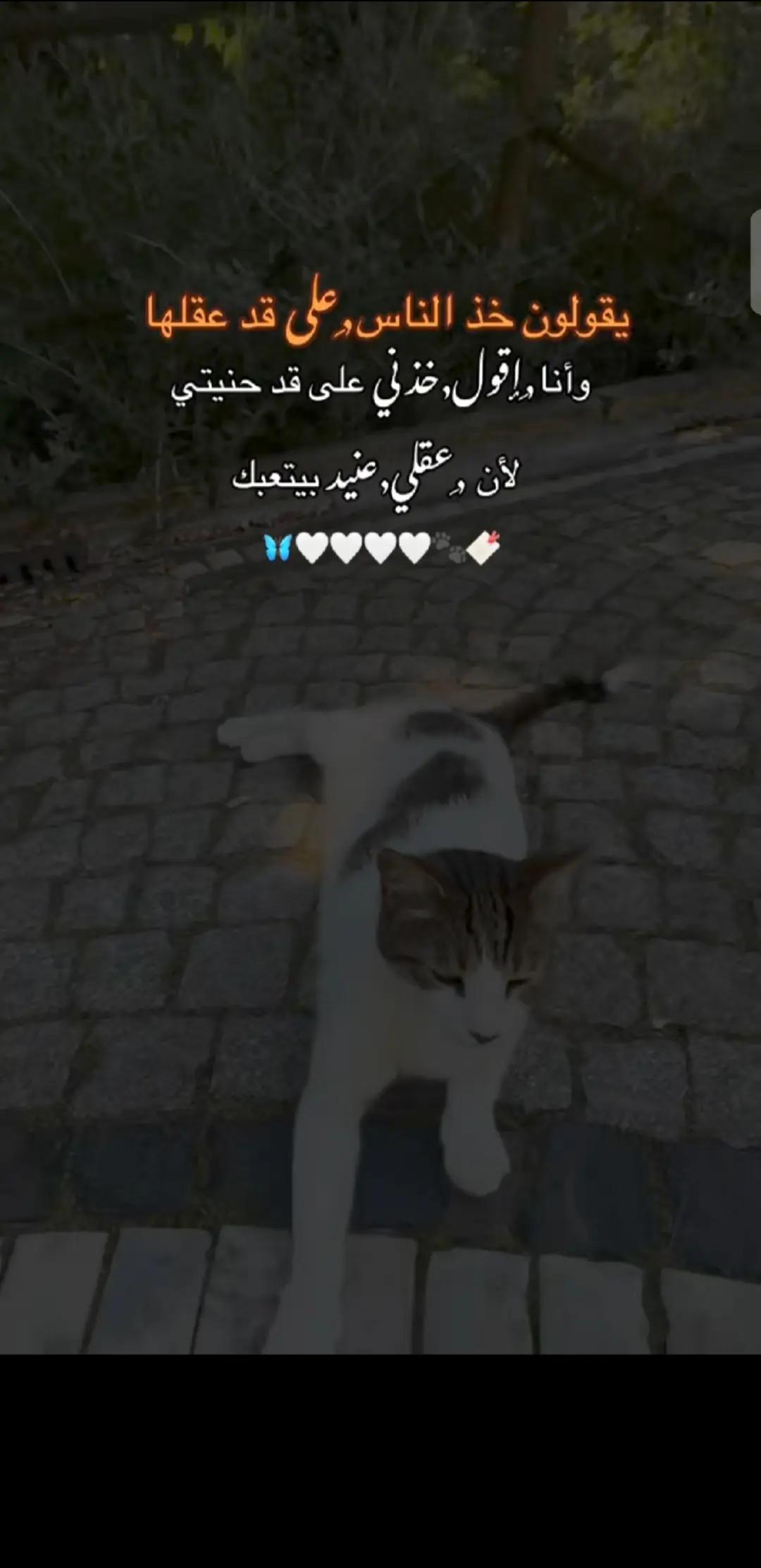 @💞⧣̶⃪⃪دفى ال⿻قلب ོ🪐💞