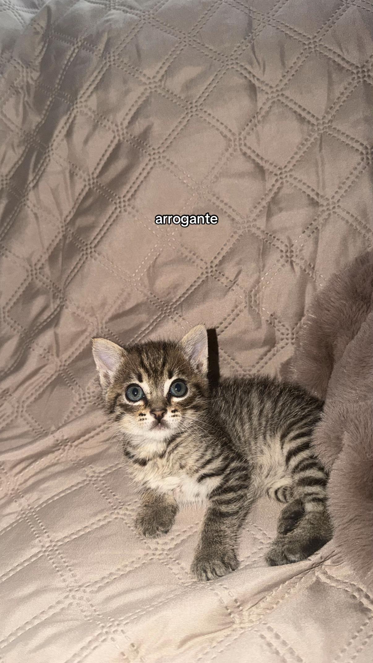 @irina✨