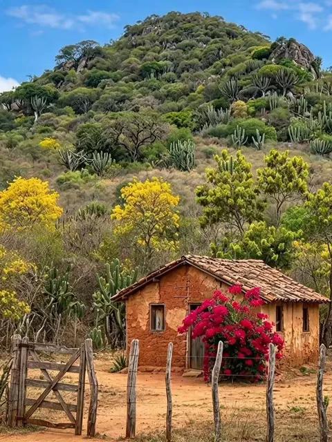 @Cheguei na Roça