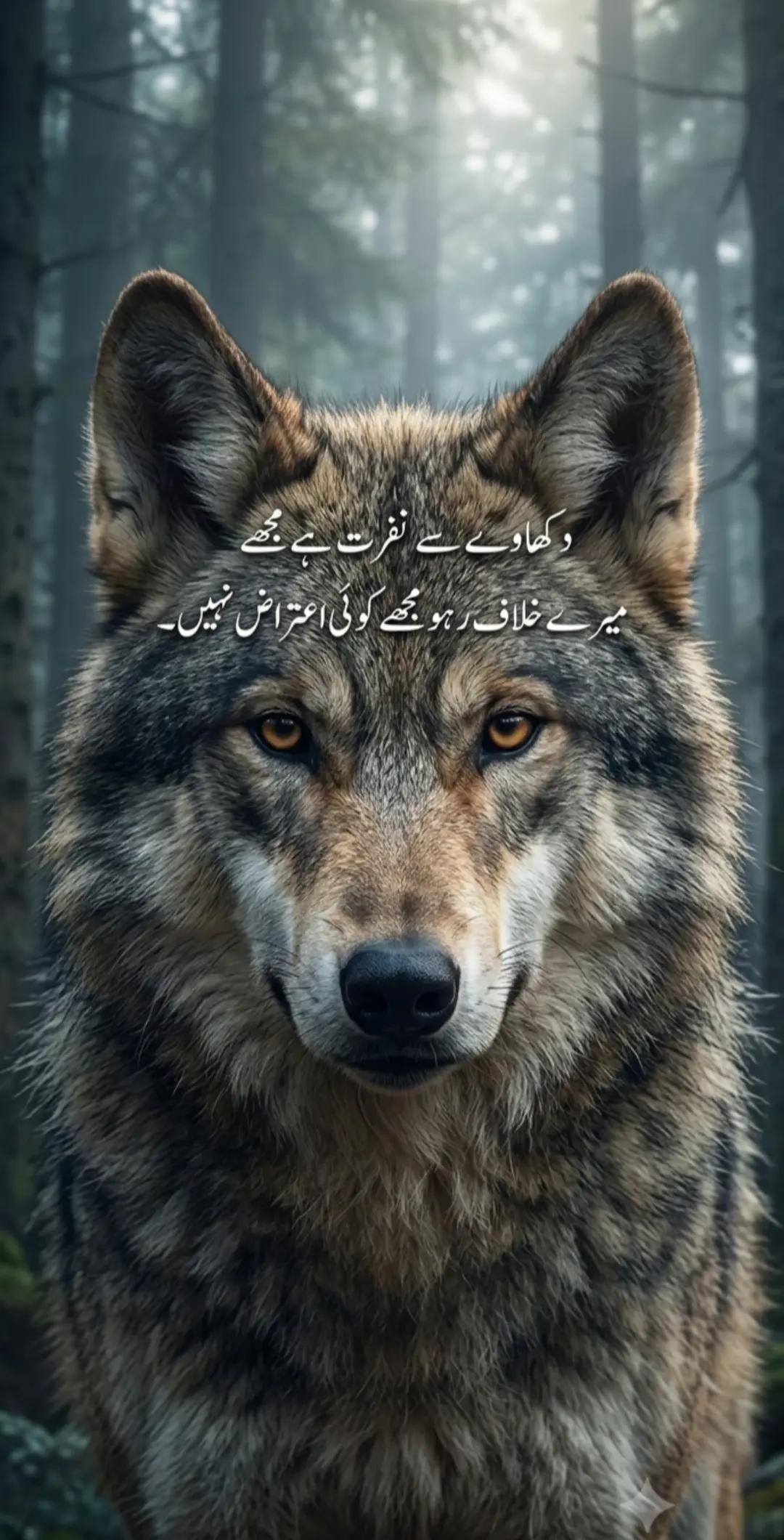 @Syed 804