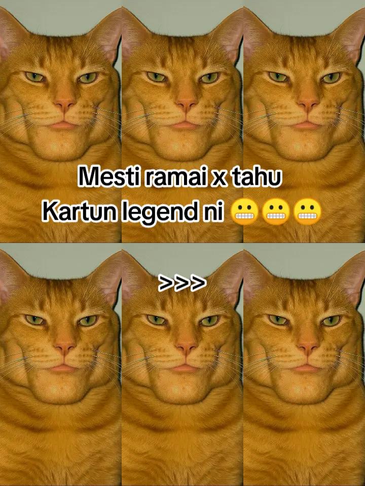 @HykalSazer01