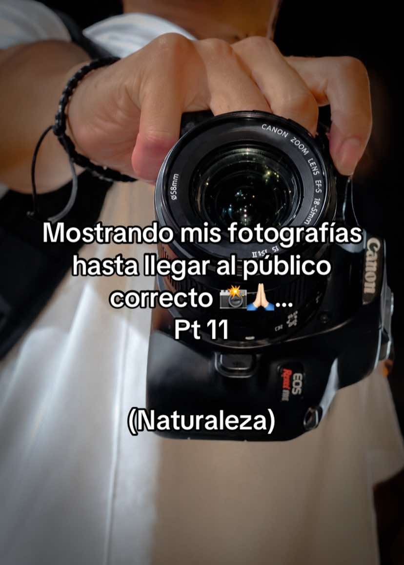 @Luis Rodríguez