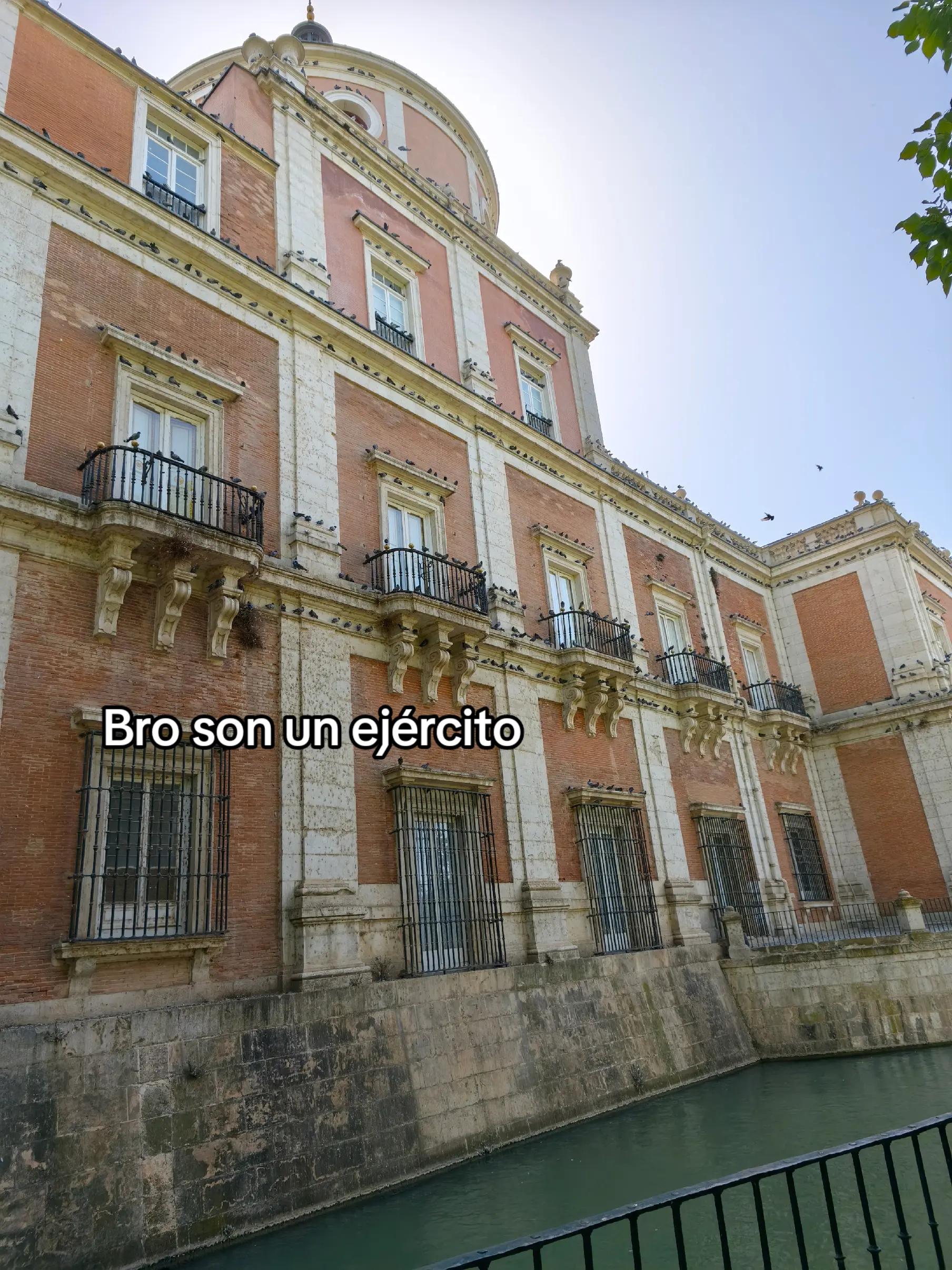 @rony