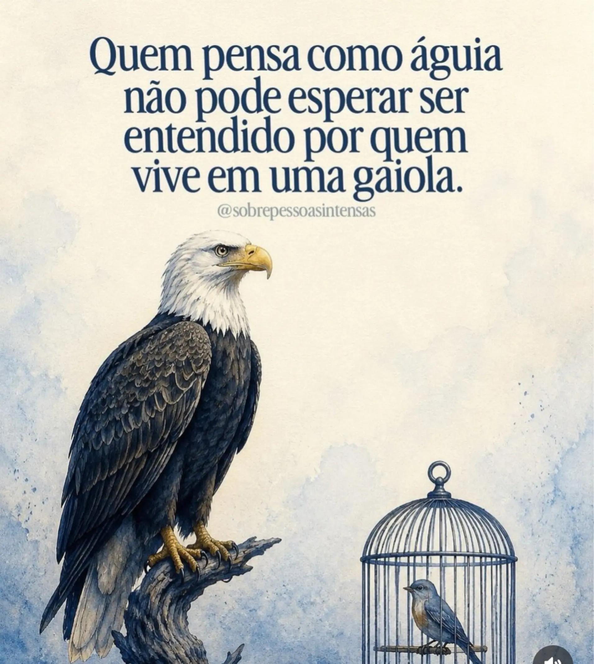 @Bruno Costa
