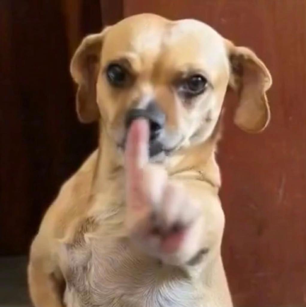 @BLAIR