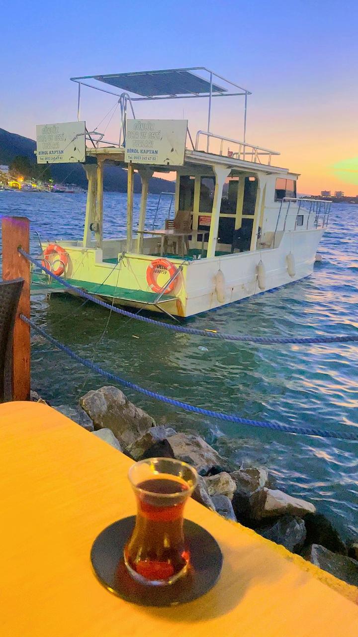 @&Ouml;zdemir 