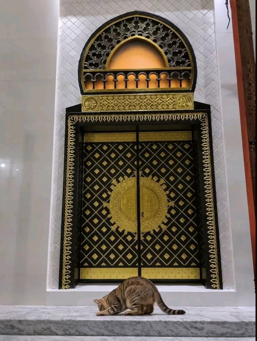 @Sajid Vai 🚩