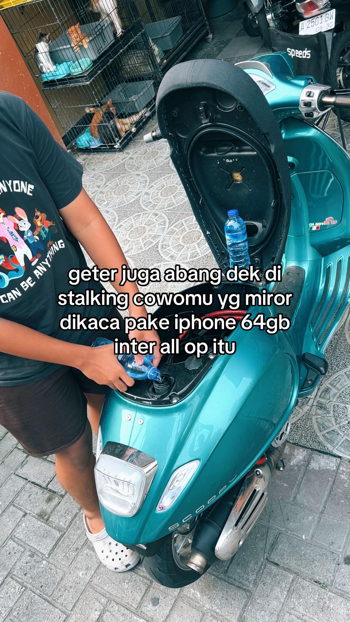 @aflhaja