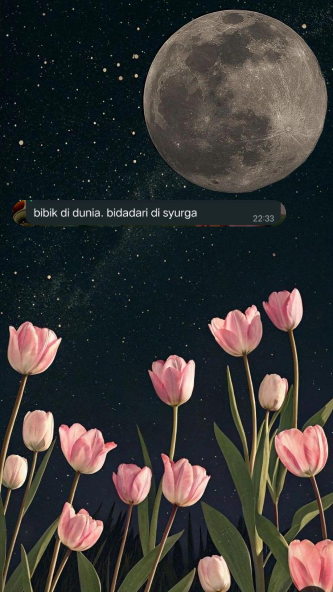 @🌷Taaa🌷