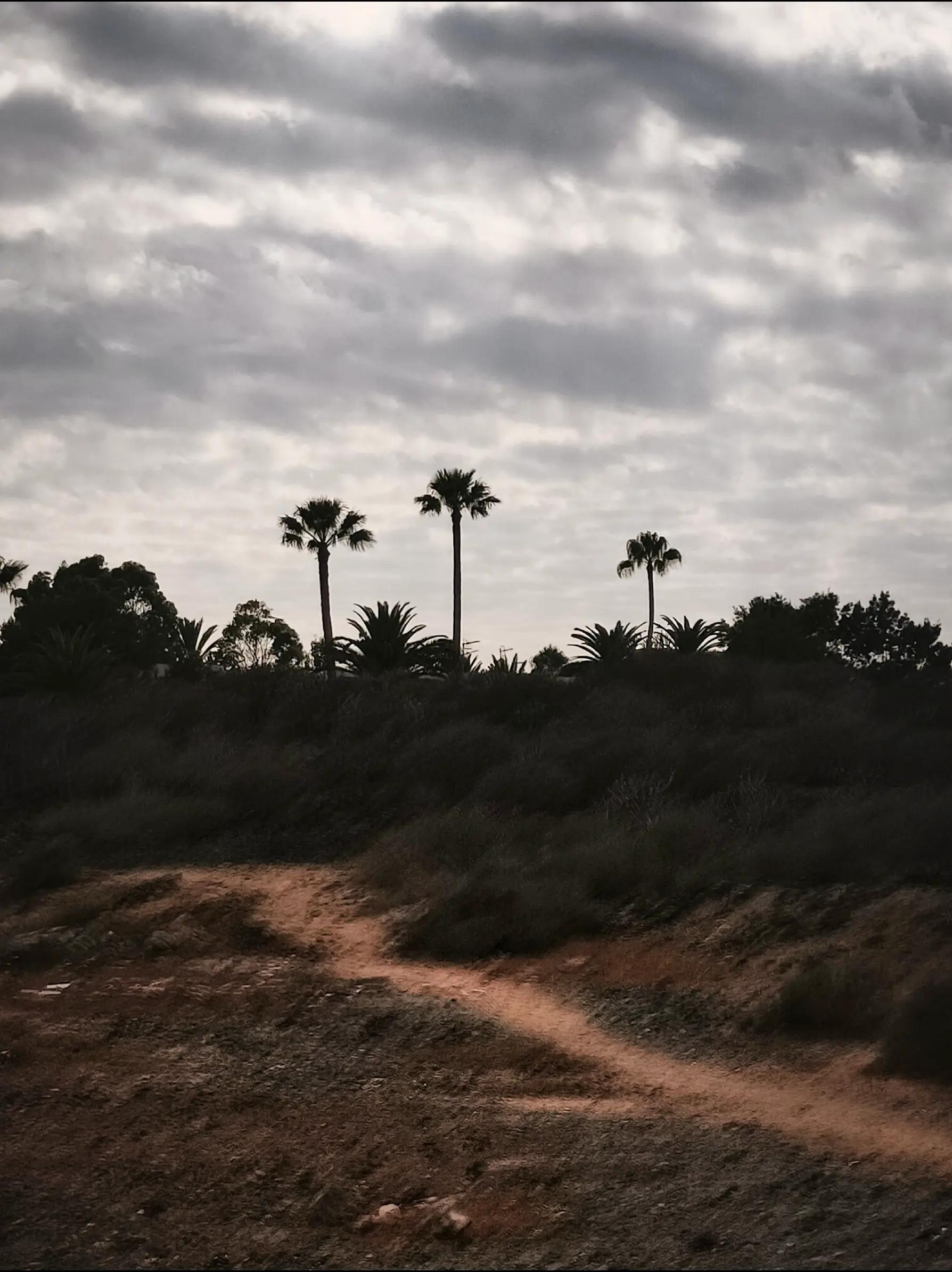 @havr-photo.picfair.com