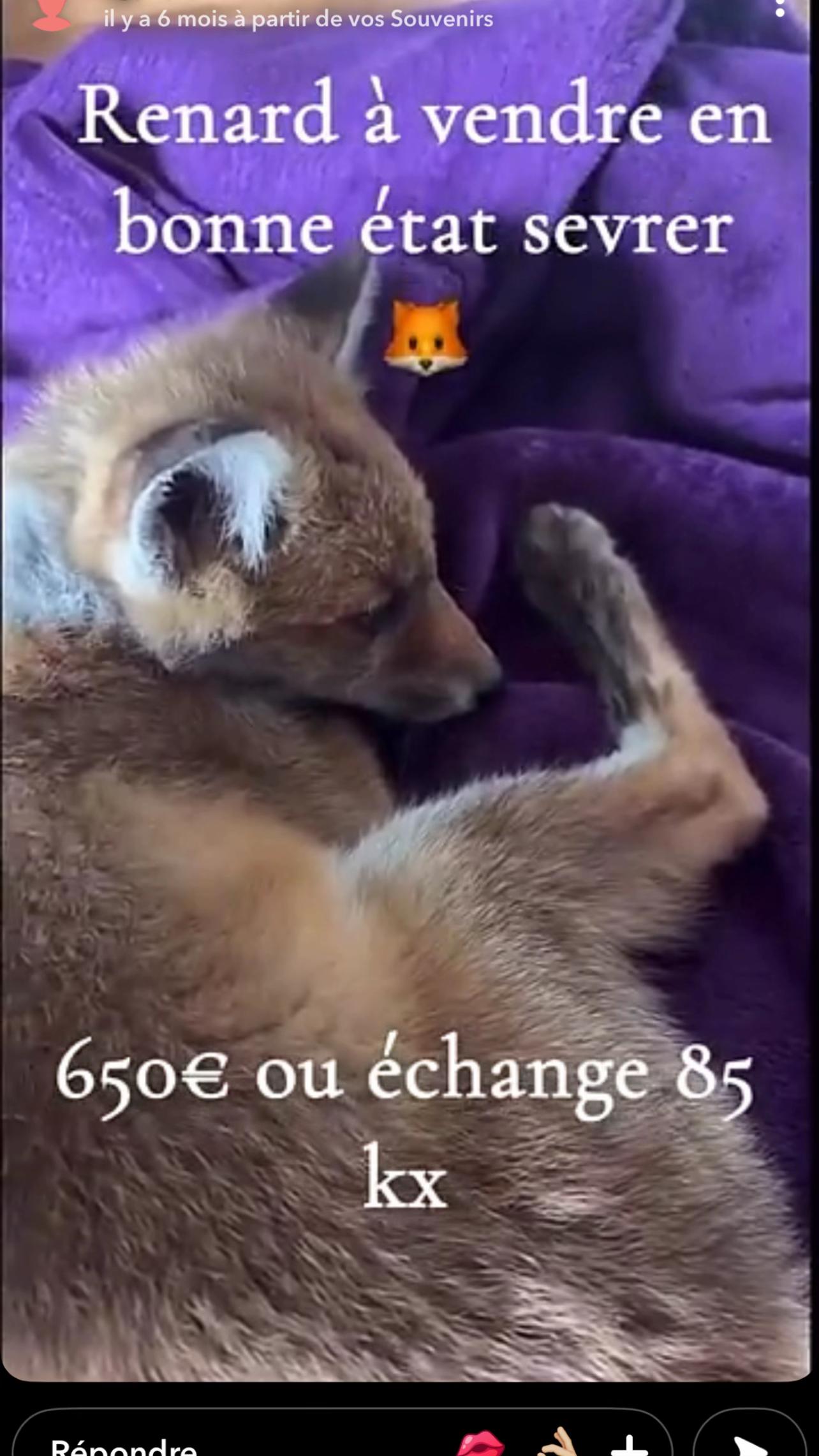 @AGENT3xINFILTRé🏴