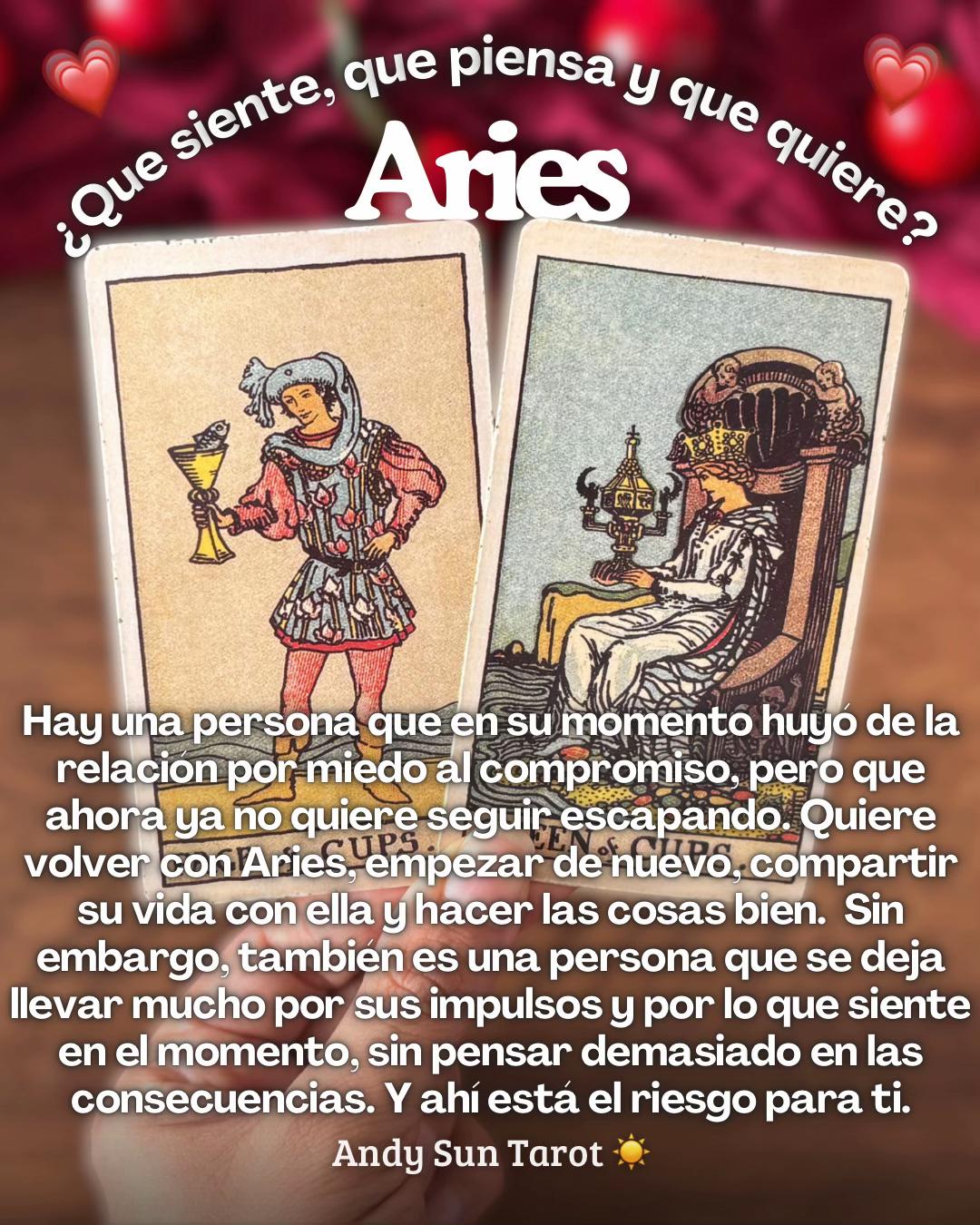 @Andy Sun Tarot ☀️