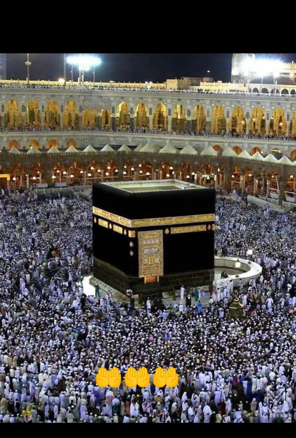 @M/R Rajput 🫰🇵🇰🌹🇸🇦