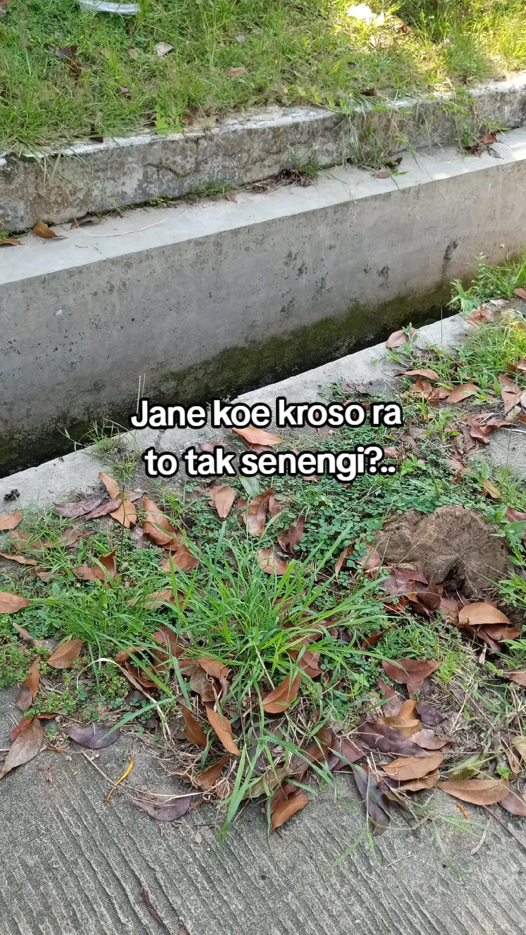 @ganhowheng