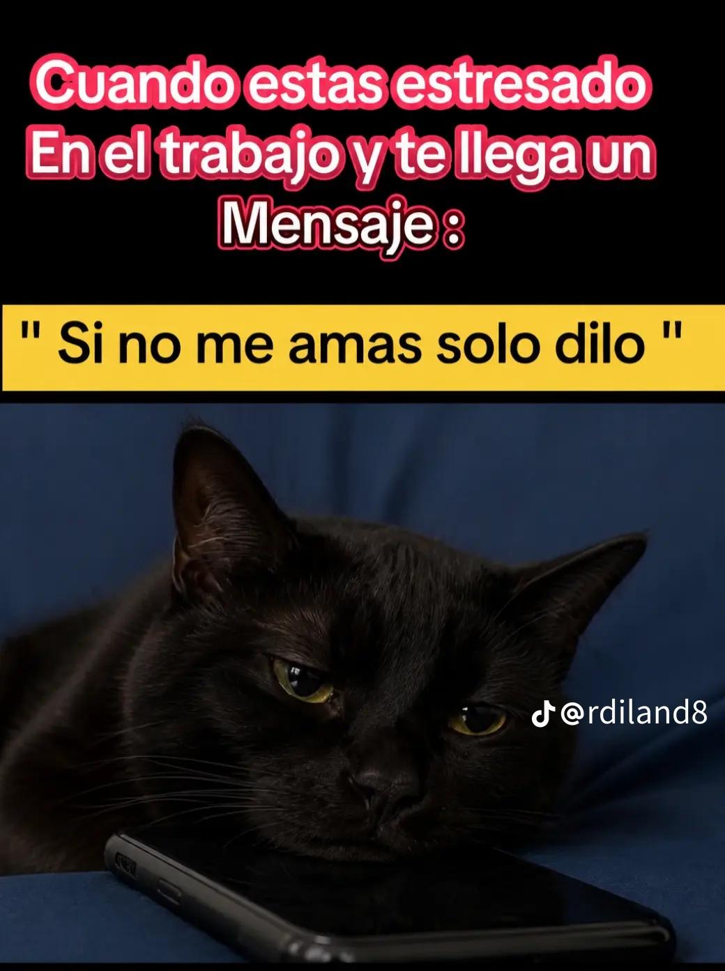 @Reyes