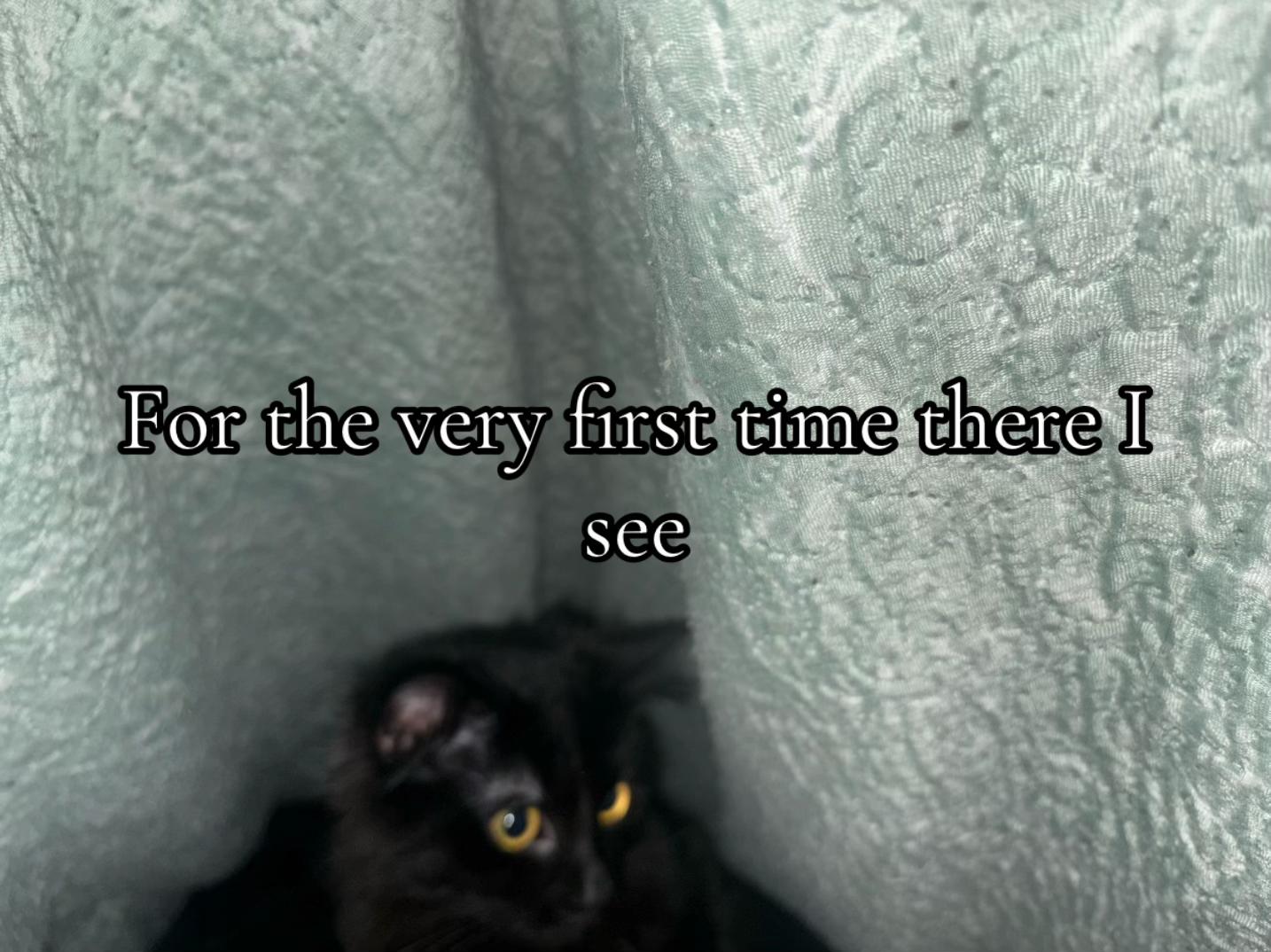 @⛧ ⫘⫘⫘𝖇𝖑𝖔𝖔𝖉𝖑𝖚𝖘𝖙⫘⫘⫘ ⛧