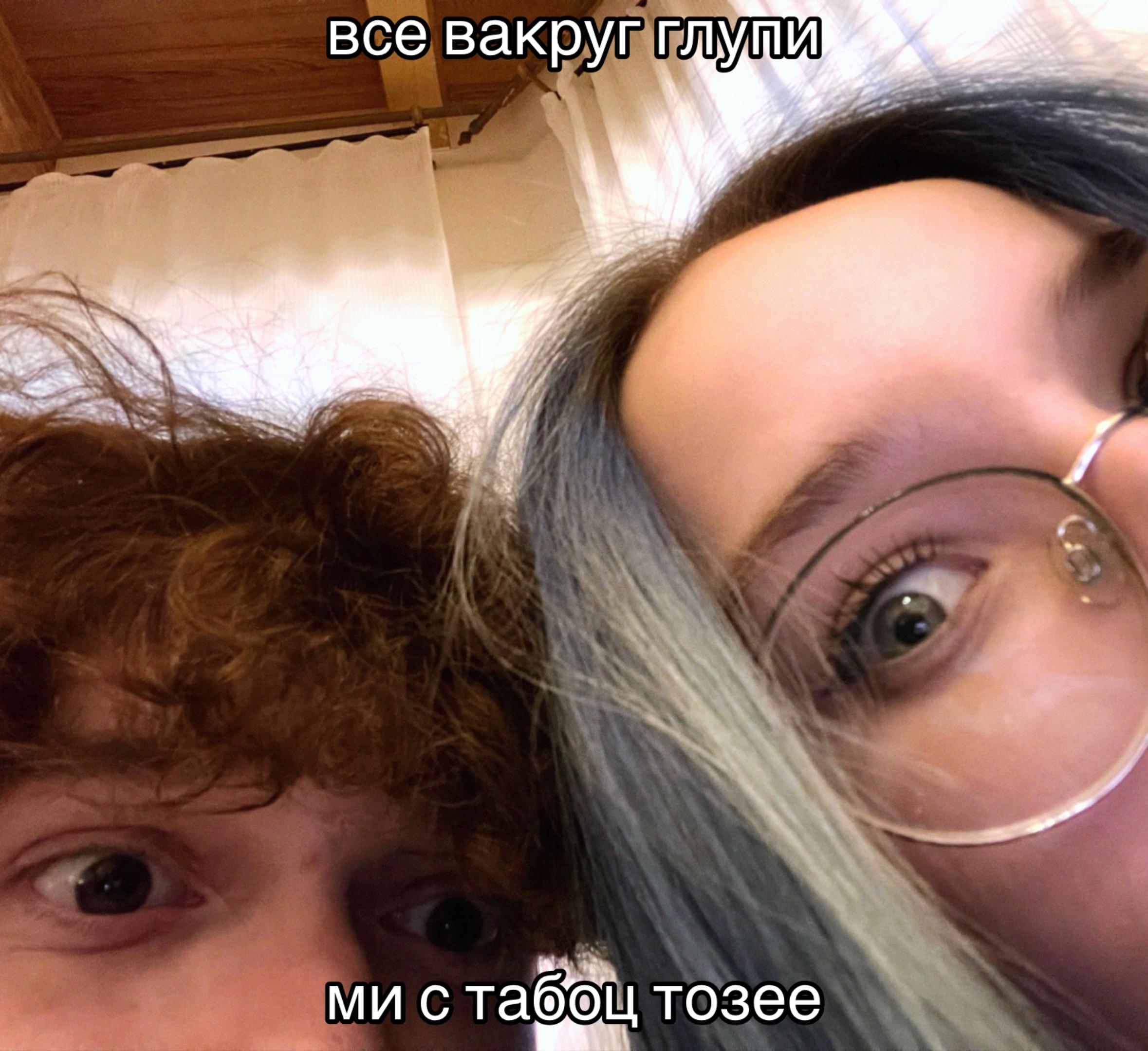 @(\ ⑅ /) ₊ волчонок! ⌒ . ✧