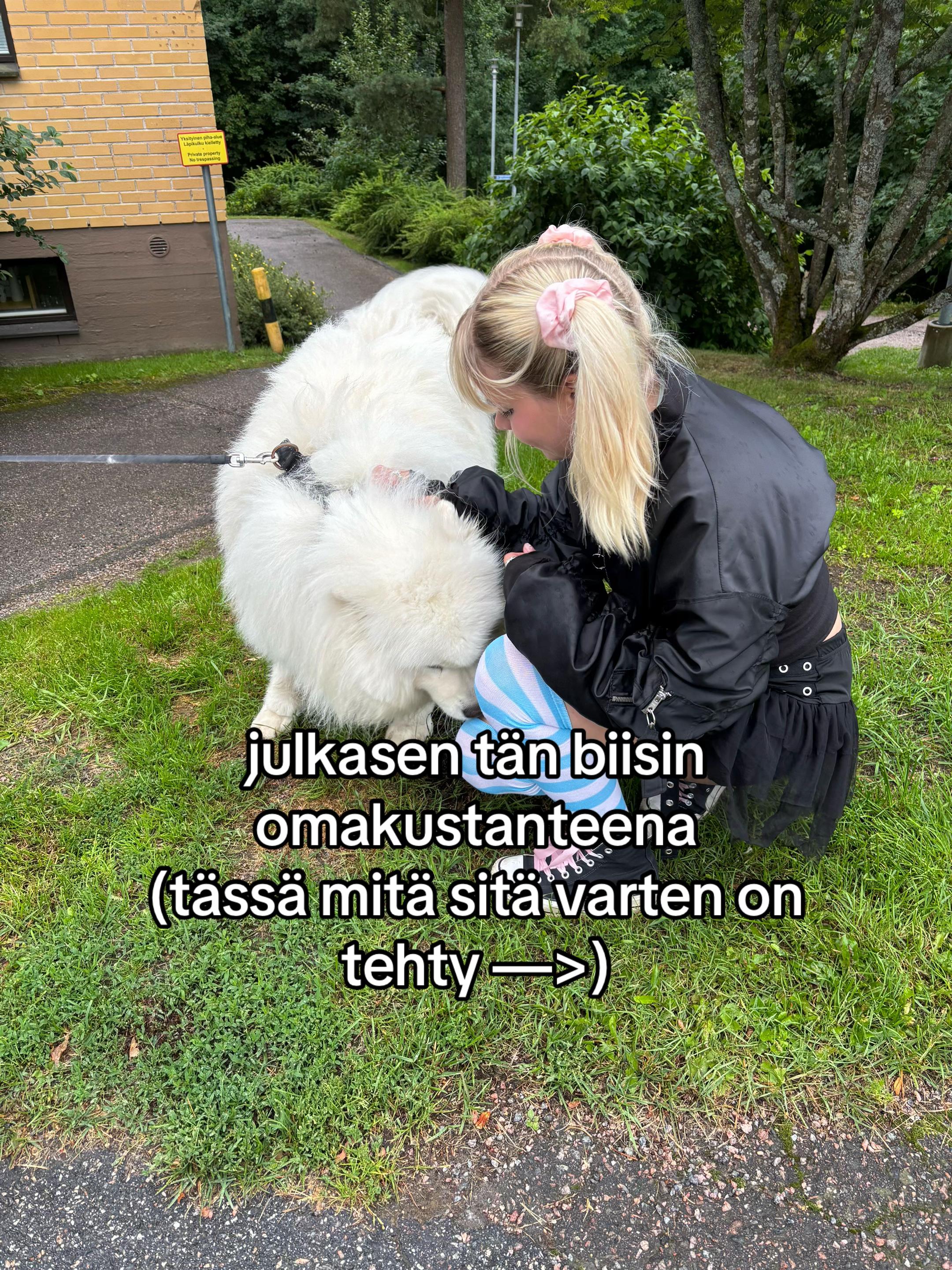 @sanisateenkaari