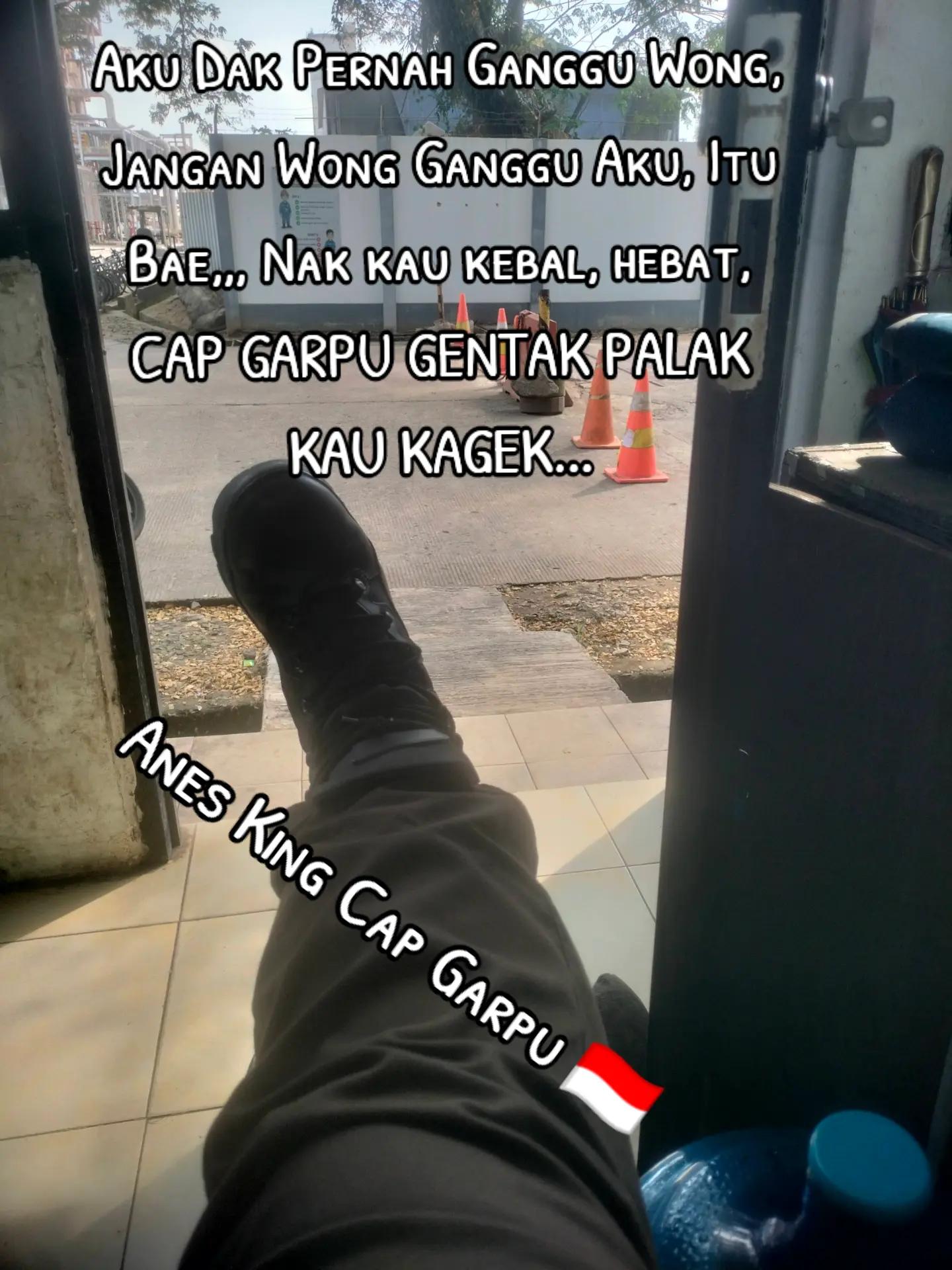 @Anes_King_cap_garpu