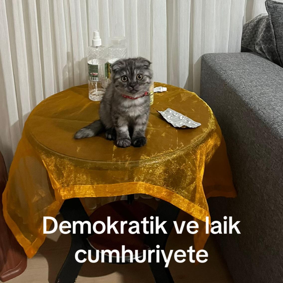 @ilke