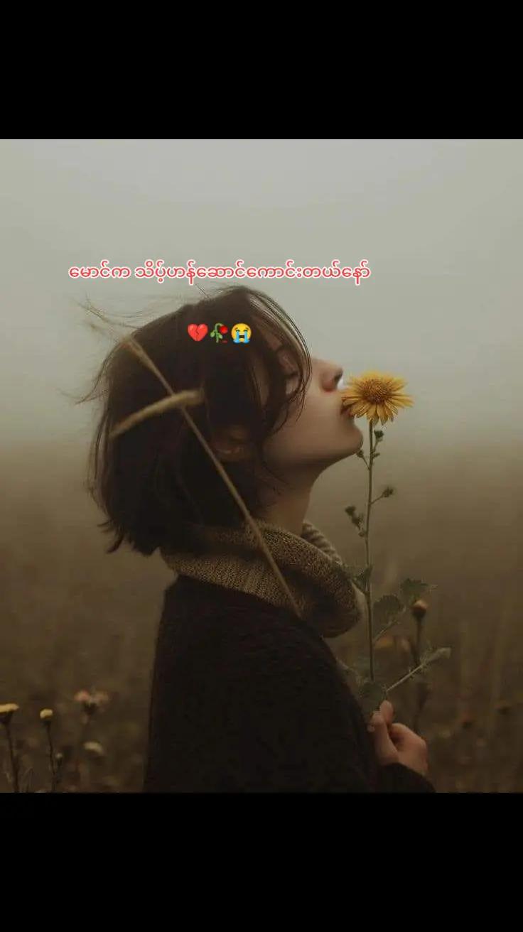 @H"🌻