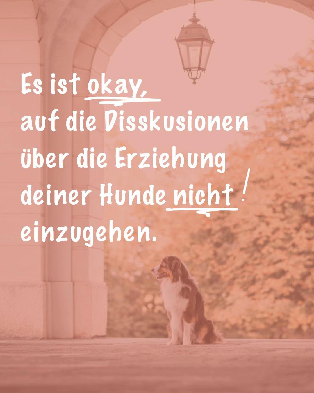 @Antonia | Hundetrainerin