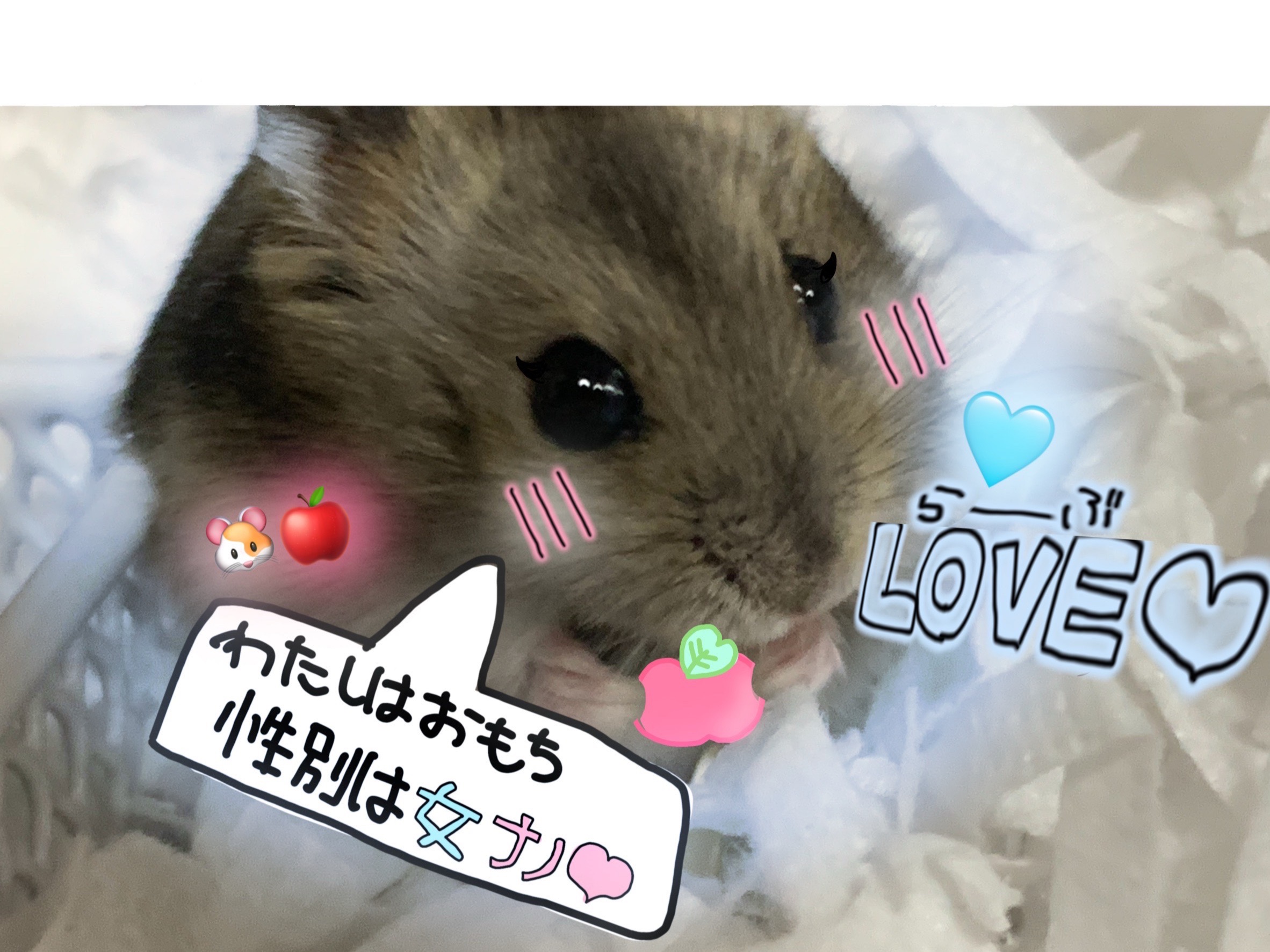 @🎀おもち🎀