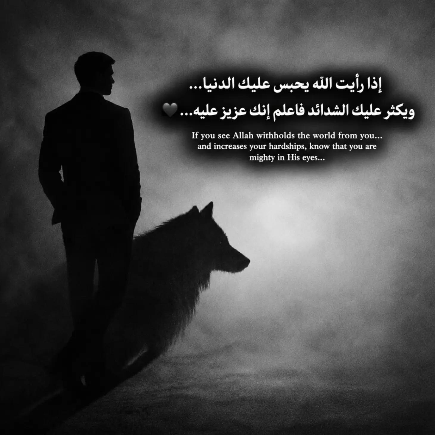 @𓆩🐺𝑾𝒂𝒍𝒆𝒅 𝑩𝒆𝒍𝒂𝒊𝒅𓆪