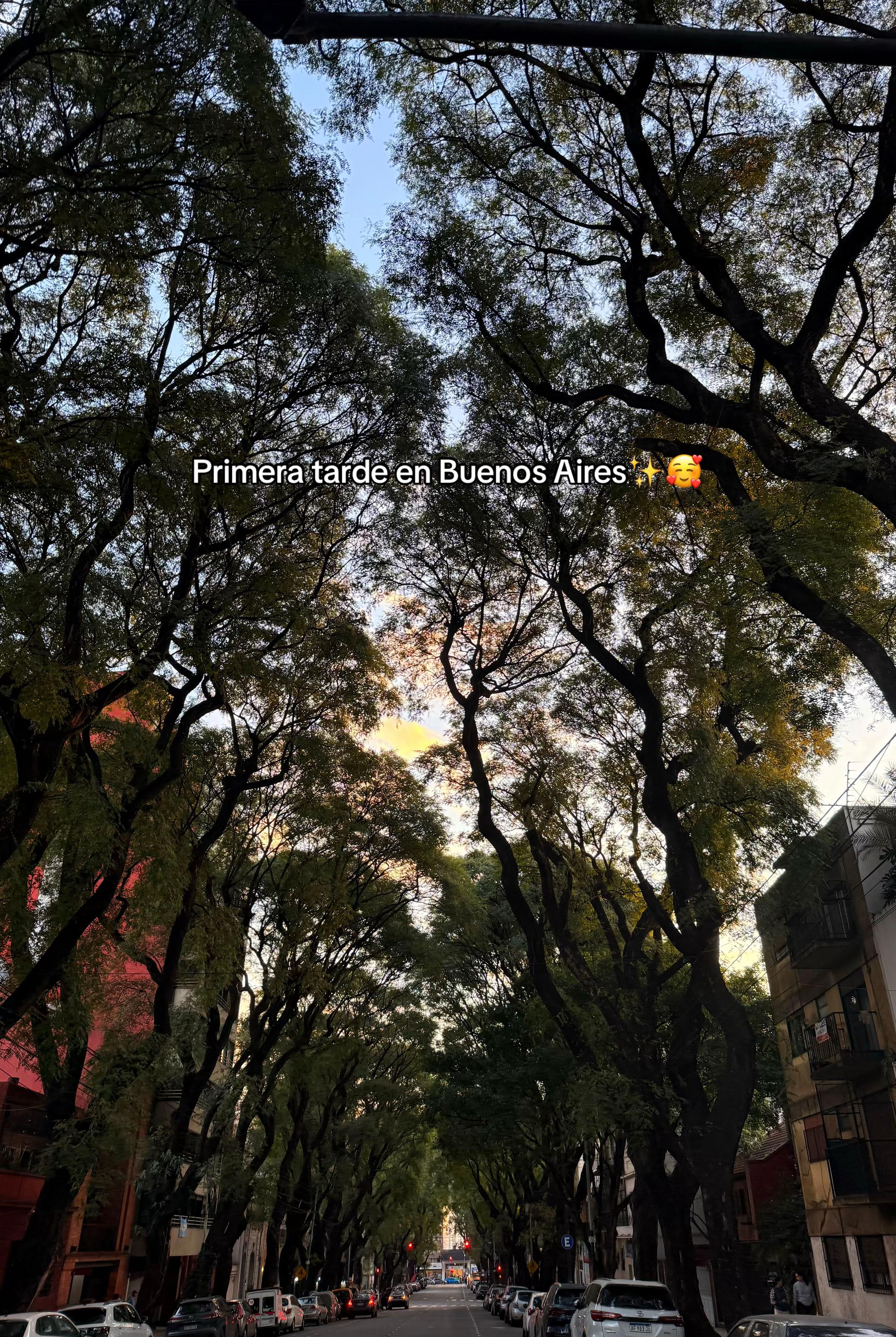 @🌻MARTA🌻