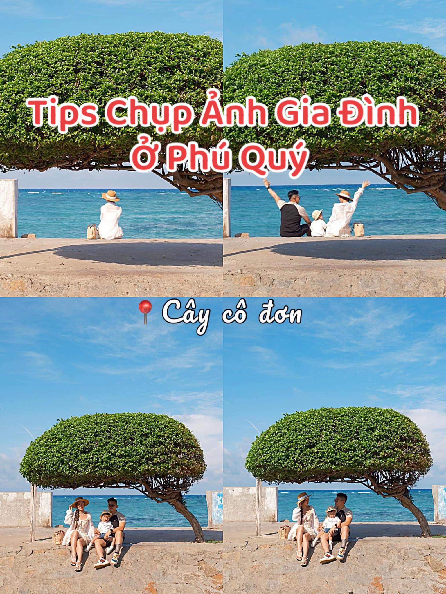 @Đức Booking Ph&uacute; Qu&yacute;