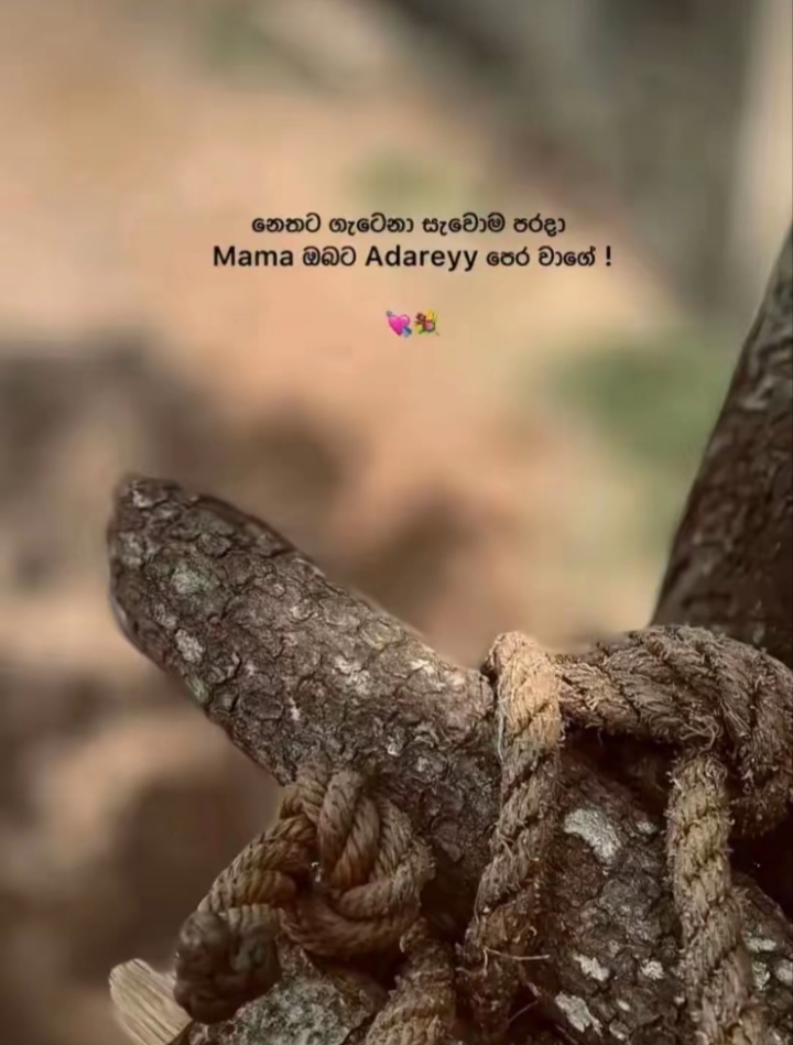 @𝙆𝙚𝙩𝙖මින්
