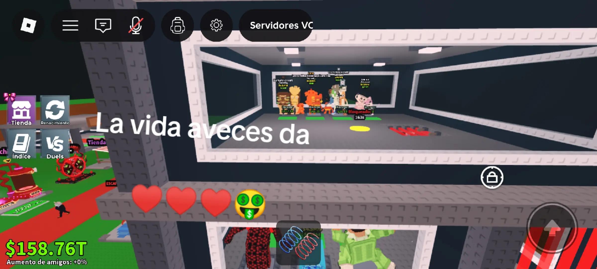 @perritostrades🤑