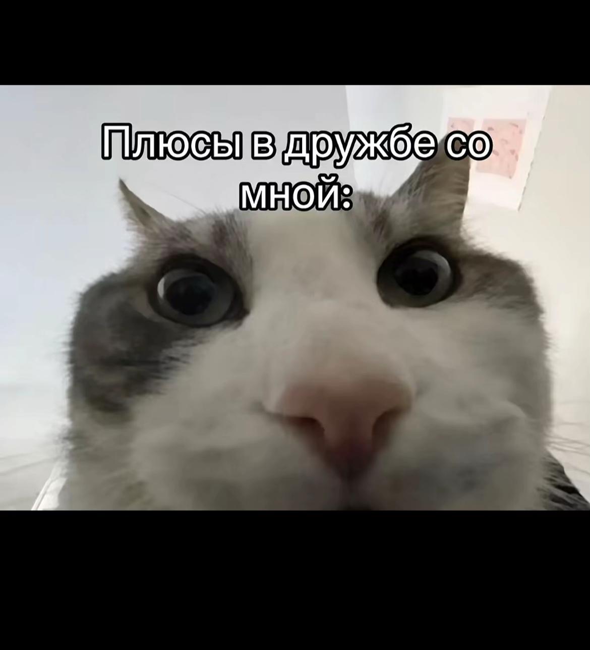 @Трюкач