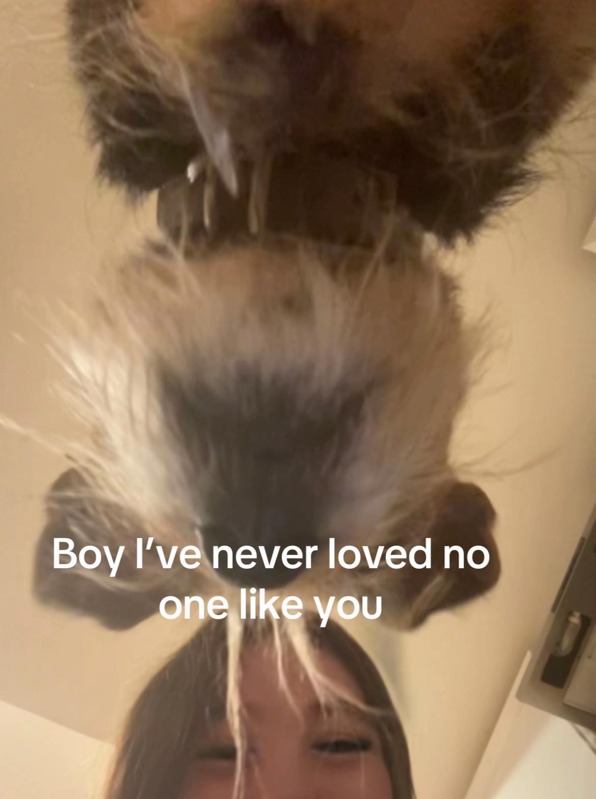 @Abi
