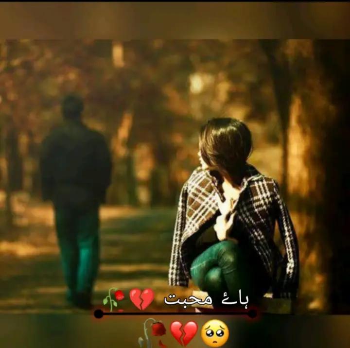 @🏴☠️_ پیر محمد_ بادشاہ_☠️