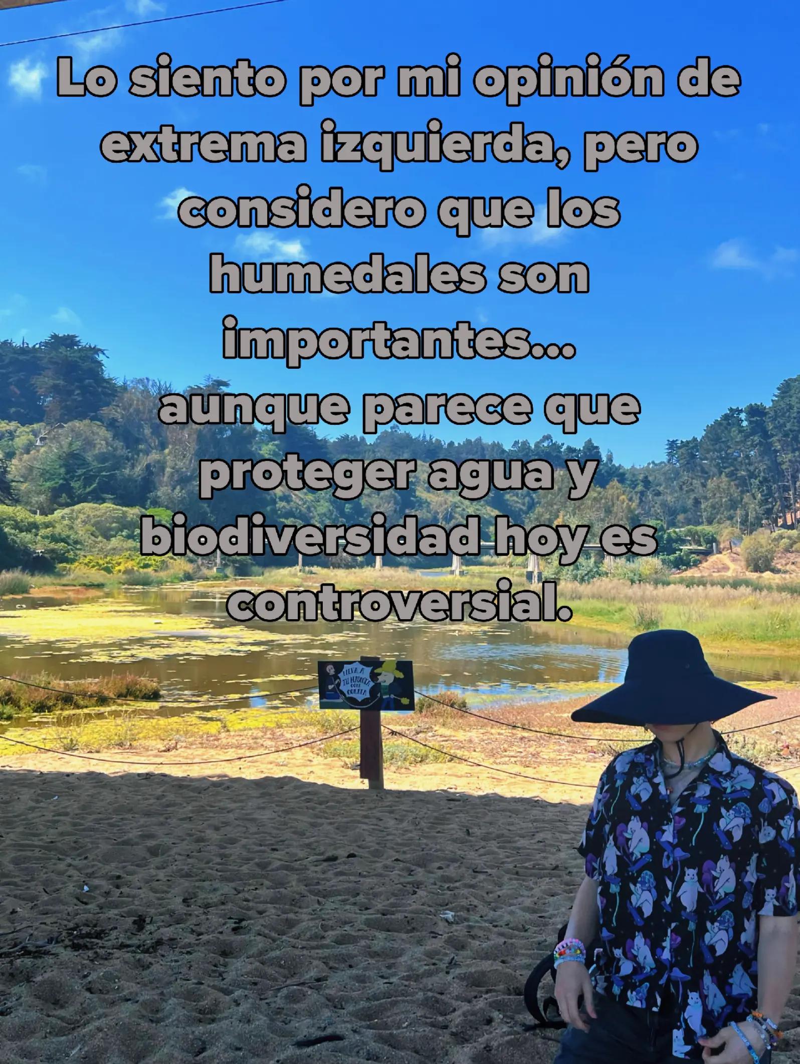 @Vicho