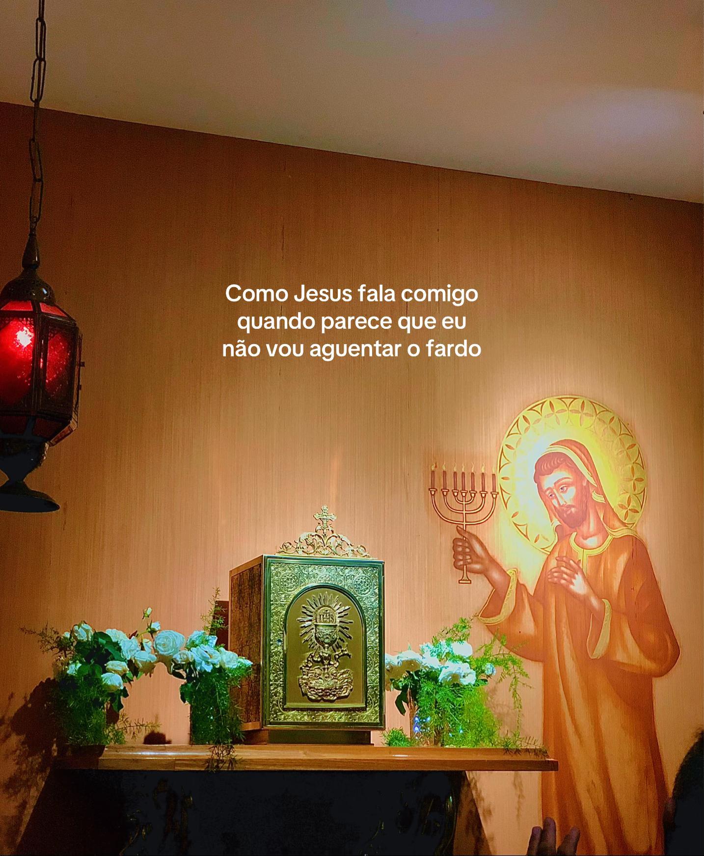 @thaynnarasilva 🇻🇦