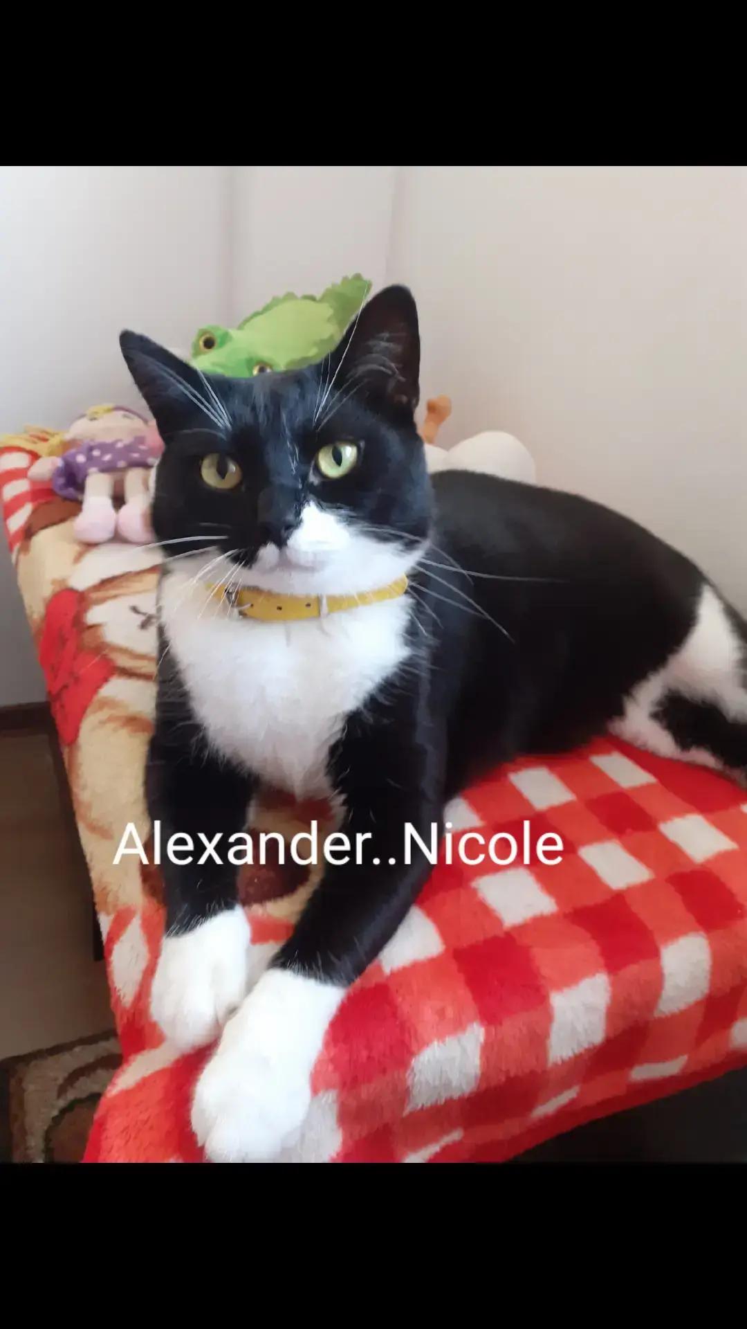 @Alexander..Nicole