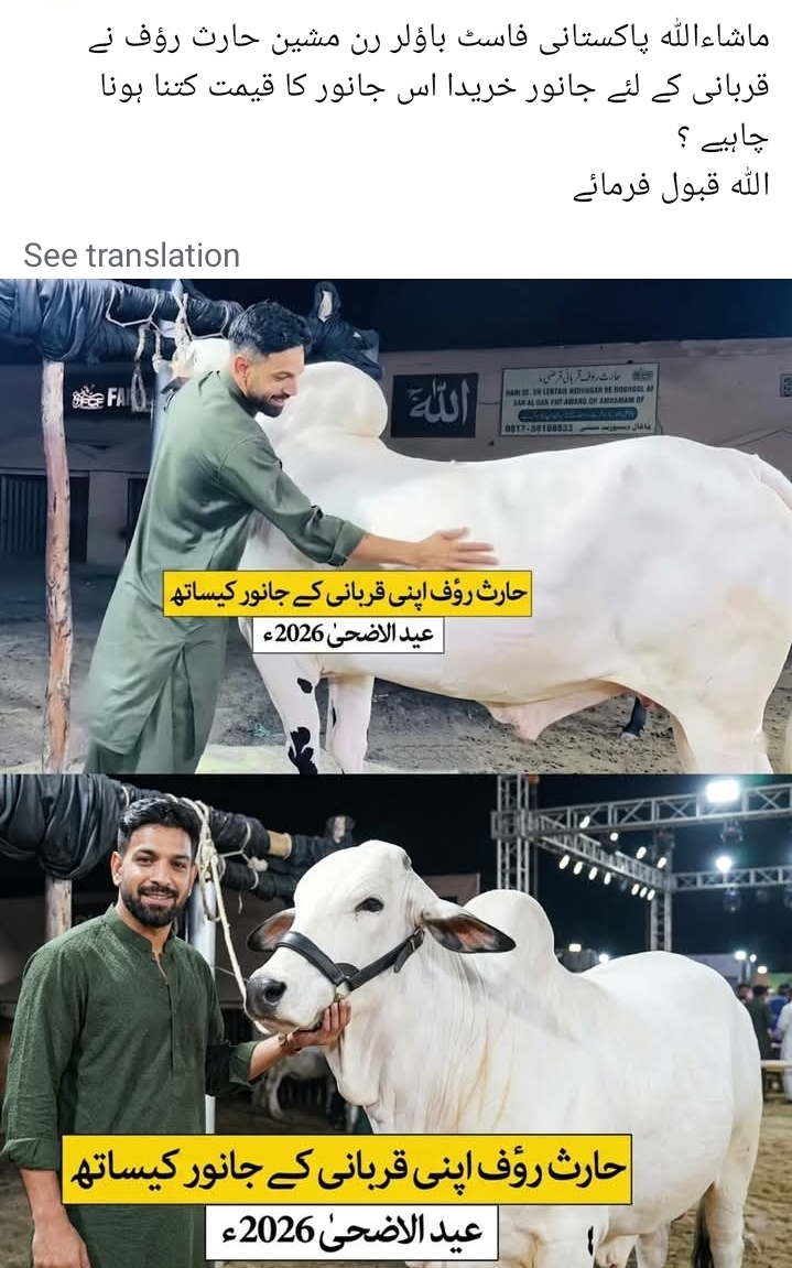 @𝐈𝐀 𝐈𝐋𝐘𝐀𝐒 🖇🤍