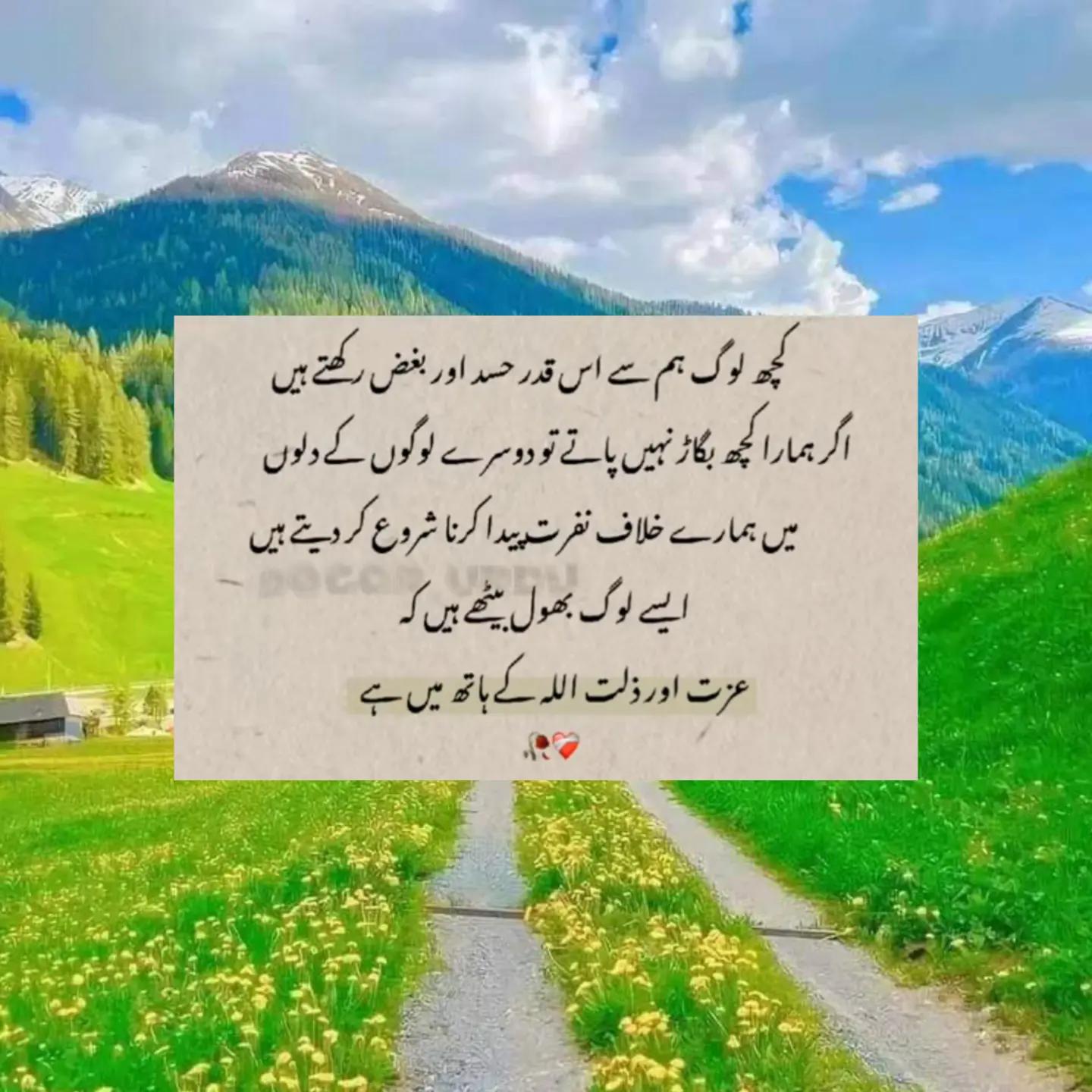 @Fariha Hassaan❤️