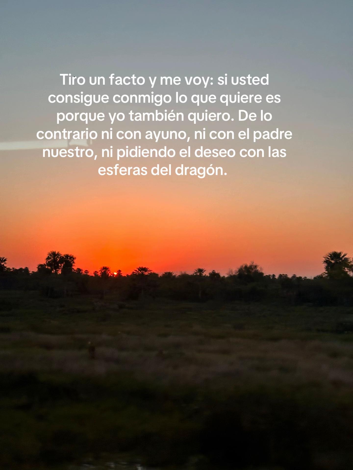 @Pao Alhelí