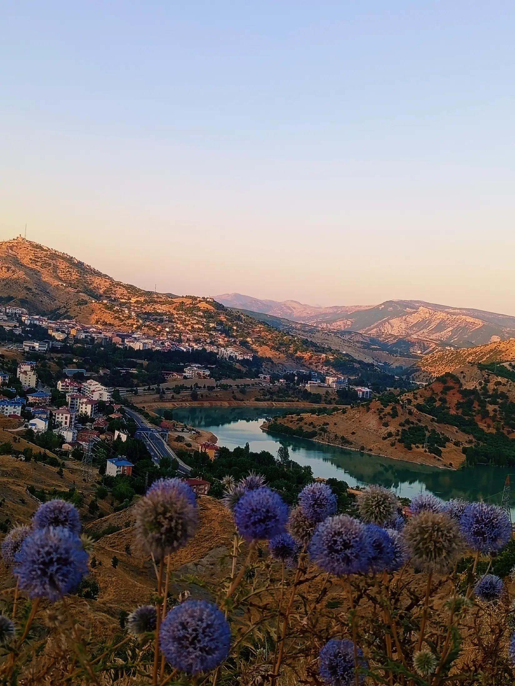 @Dilan Kur
