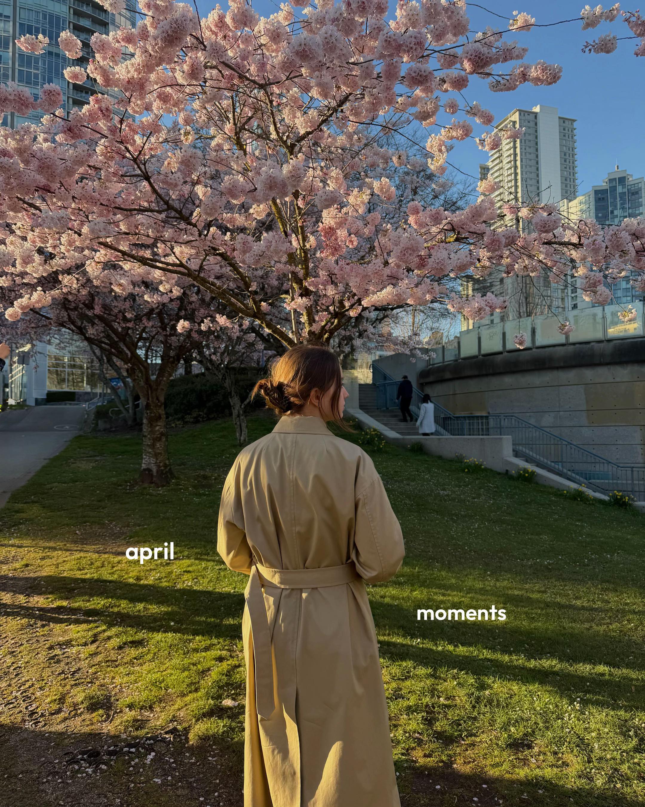@rita | content creator 🧸