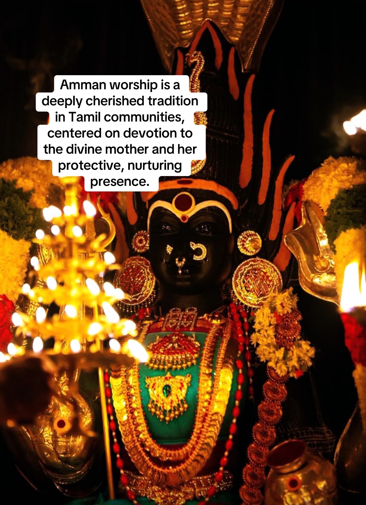 @⛓️Dr. KalKateri Chandrasekara